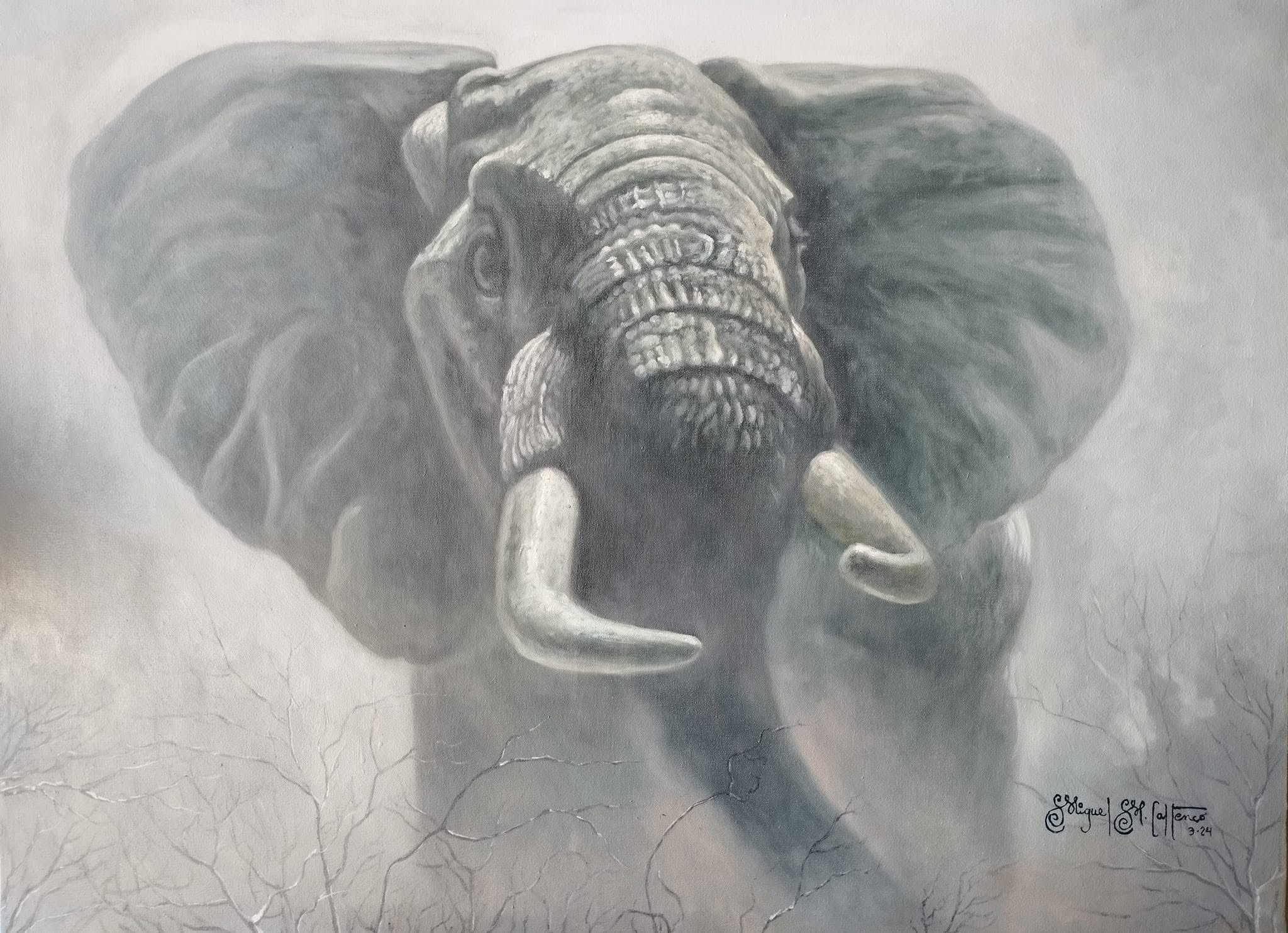 Elefante