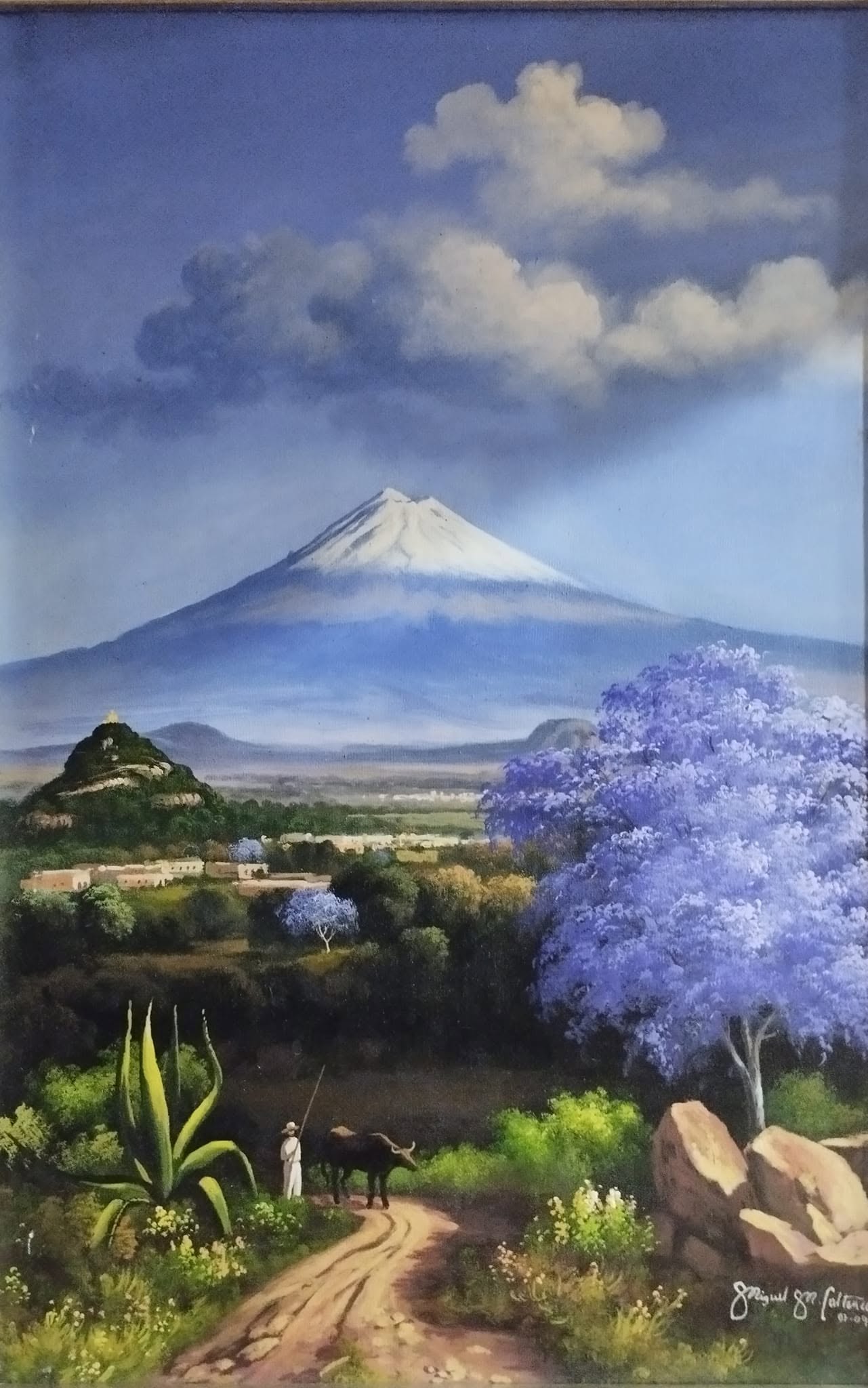 jacaranda en la vereda